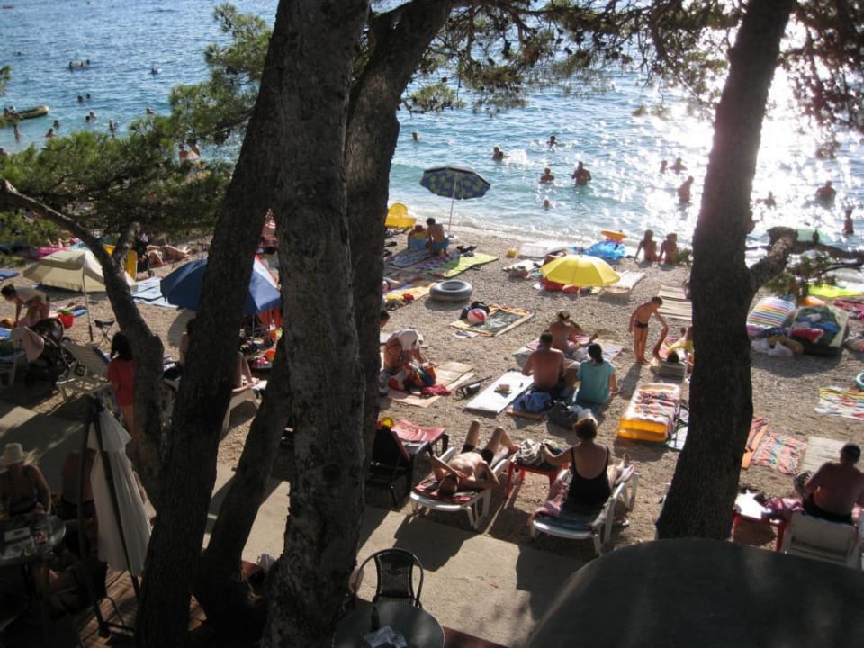 Hotel-Strand Villa Bacchus