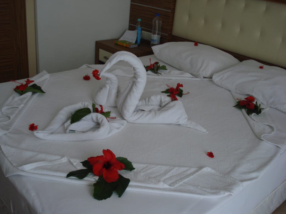 Super Zimmer und jeden Tag super Dekoration Blue Diamond Alya