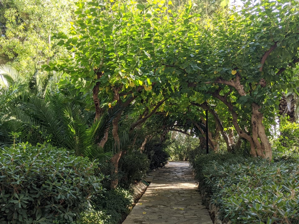 Gartenanlage Apollonia Beach Resort & Spa