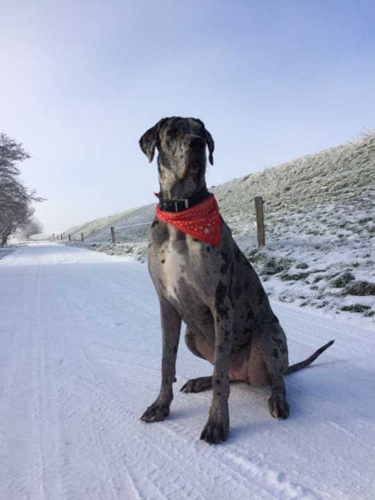 Sonstiges Ferienhof Limberg