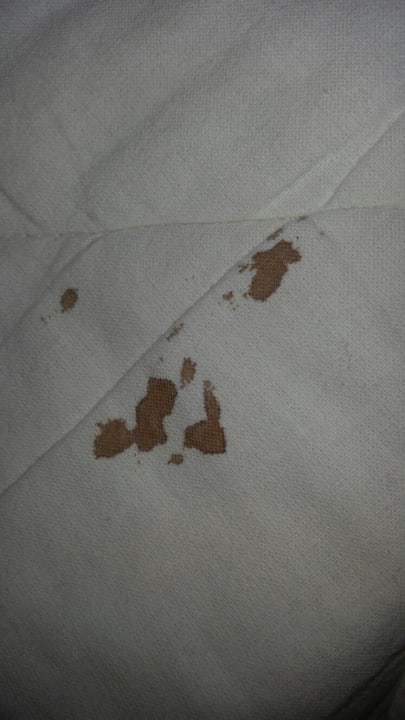 Zimmer Bitez Garden Life