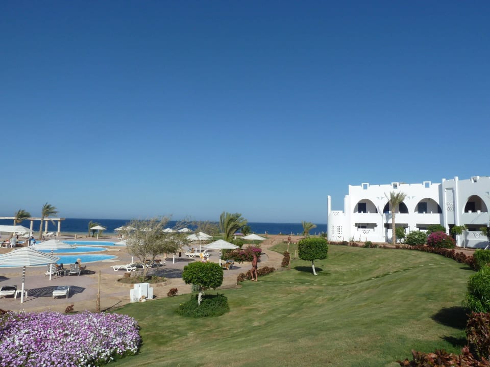 Blütenmeer am Hauptpool Three Corners Equinox Beach Resort