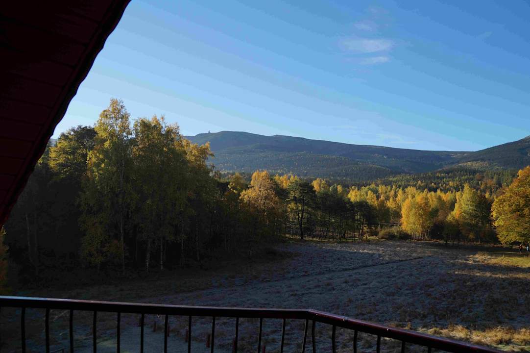 Willa Leśna Polana Willa Leśna Polana