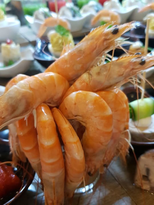 Gastro Hotel Oleander