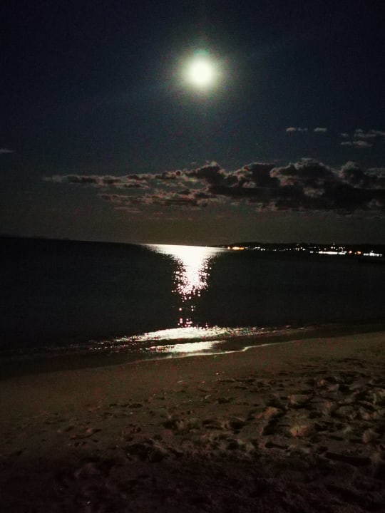 Ausblick Ammon Zeus Luxury Beach Hotel