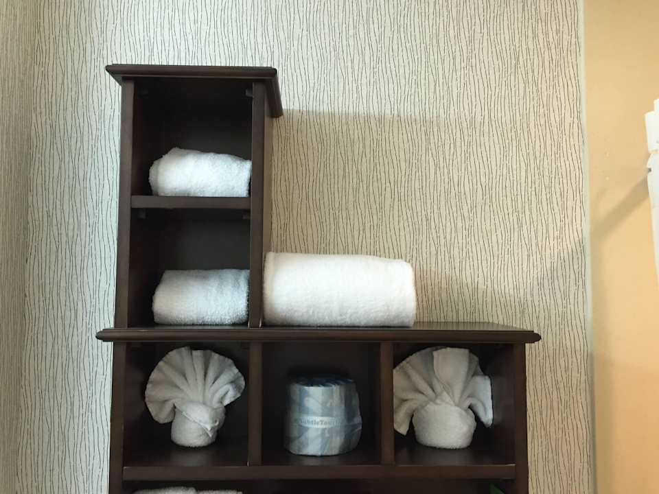 Nett eingerichtetes Bad Hampton Inn & Suites Atlanta-Downtown