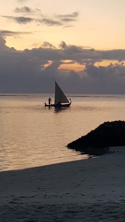 Ausblick Summer Island Maldives