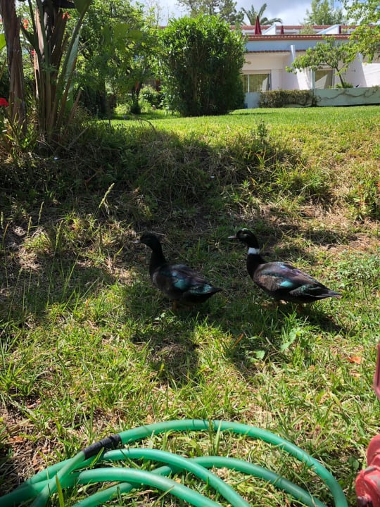 Sonstiges Aldiana Club Rocca Nettuno Calabria