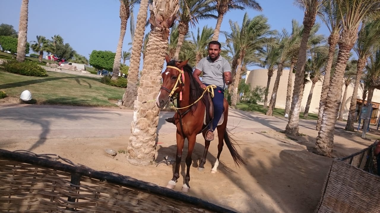 Strand Palm Royale Resort - Soma Bay