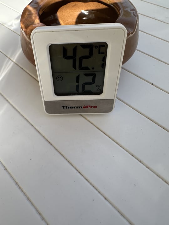 Sonstiges Desert Rose