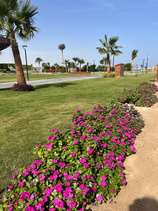 Gartenanlage Rixos Premium Magawish Suites & Villas