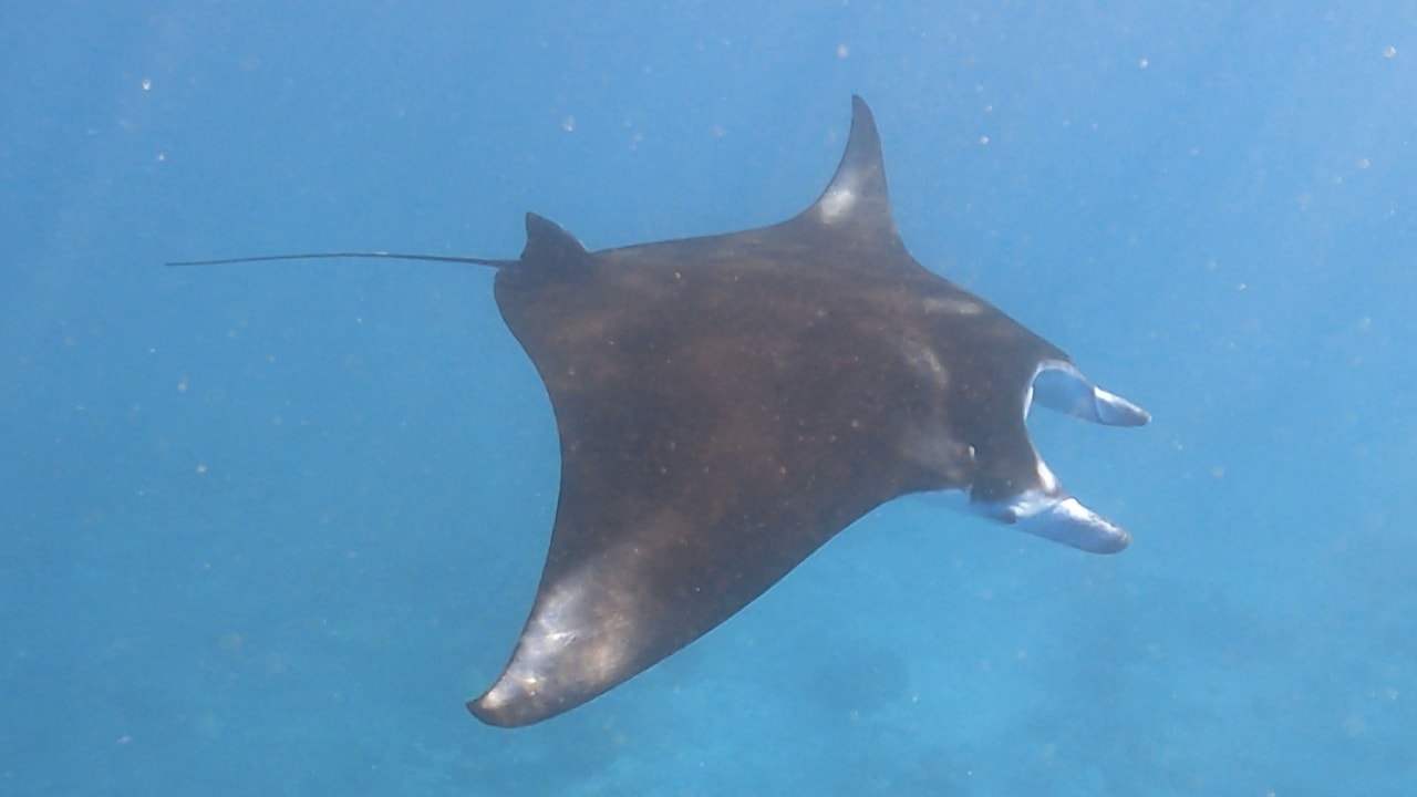 Sport & Freizeit Constance Moofushi Maldives