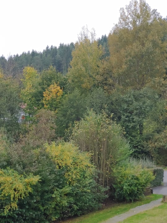 Ausblick Ferienhaus Geiger