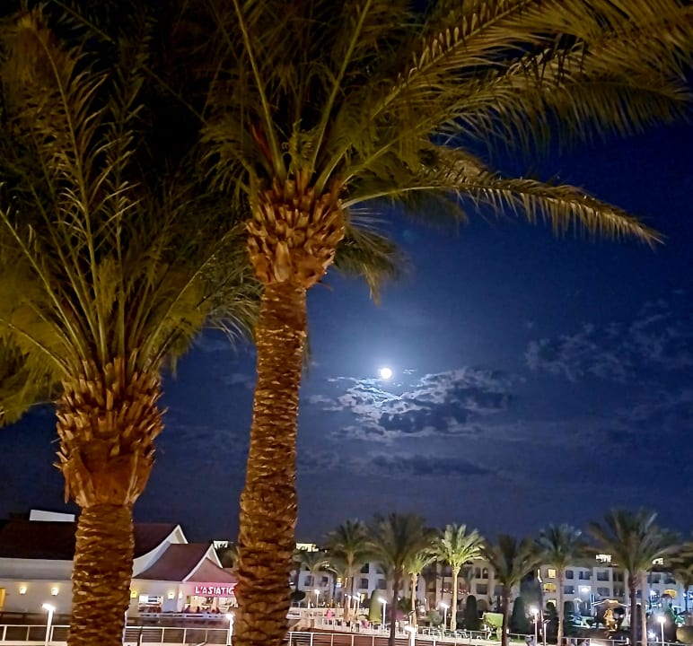 Ausblick Pickalbatros Dana Beach Resort - Hurghada