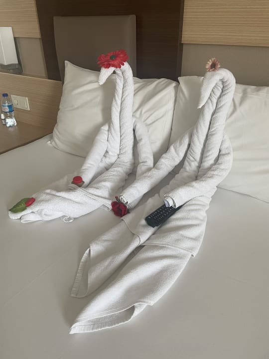 Zimmer Telatiye Resort