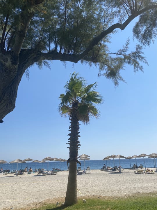 Strand TUI BLUE Oceanis Beach and Spa Resort