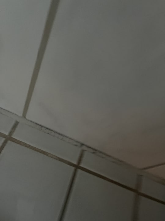 Zimmer Hotel Hollmann