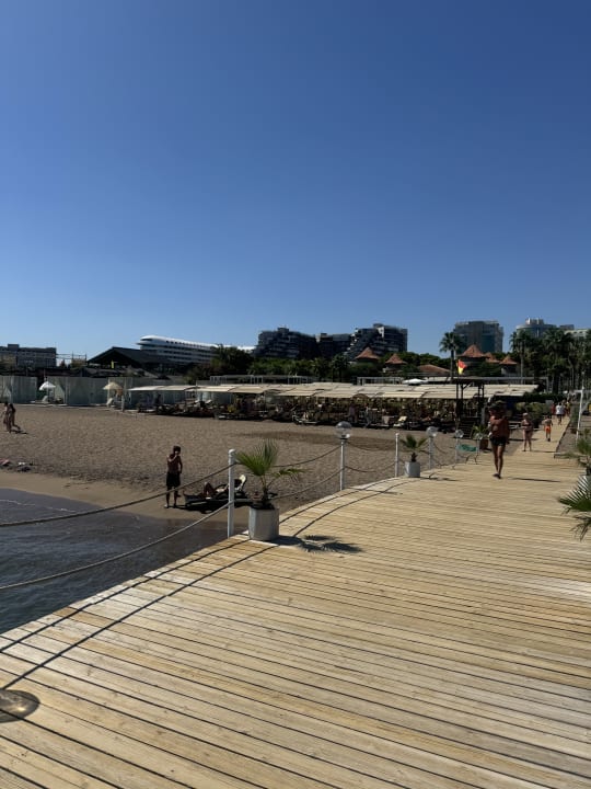 Strand Sherwood Exclusive Lara