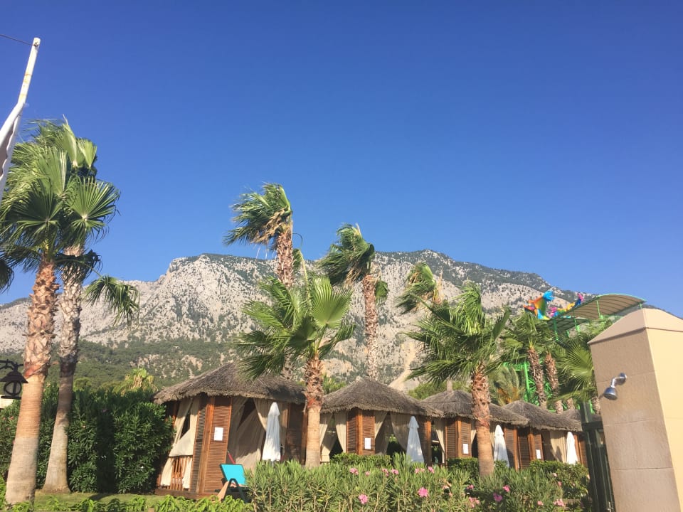 Ausblick Crystal Flora Pearl Collection