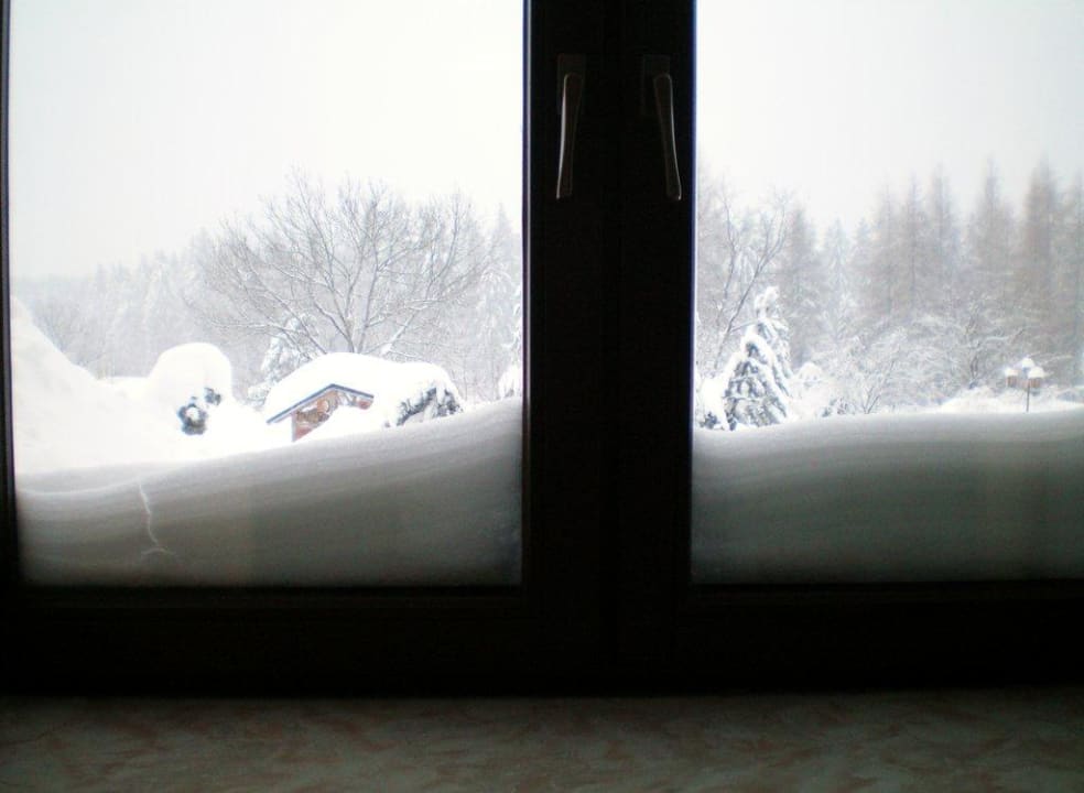 Blick aus unserem Zimmer Hotel Forstmeister