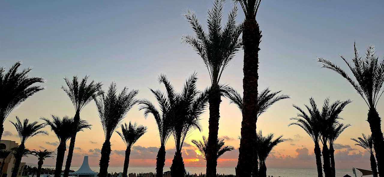 Ausblick Iberostar Waves Averroes