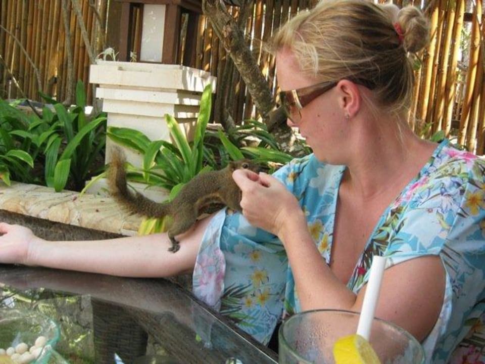 Eichhörnchen bei Strandbar The Laguna A Luxury Collection Resort & Spa