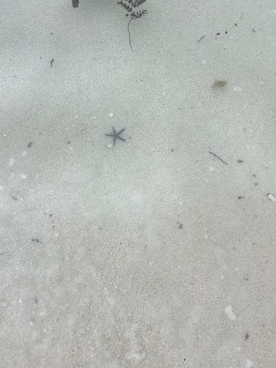 Strand Crystals Beach Resort Belle Mare, a member of Radisson Individuals