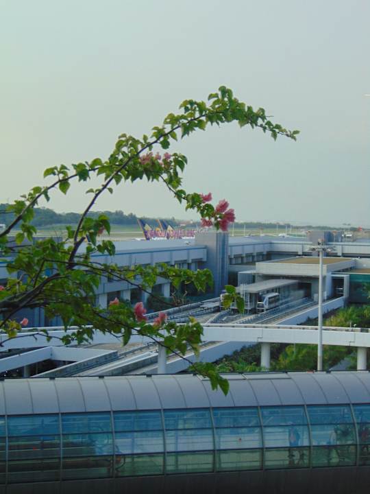 Ausblick Hotel Crowne Plaza Changi Airport