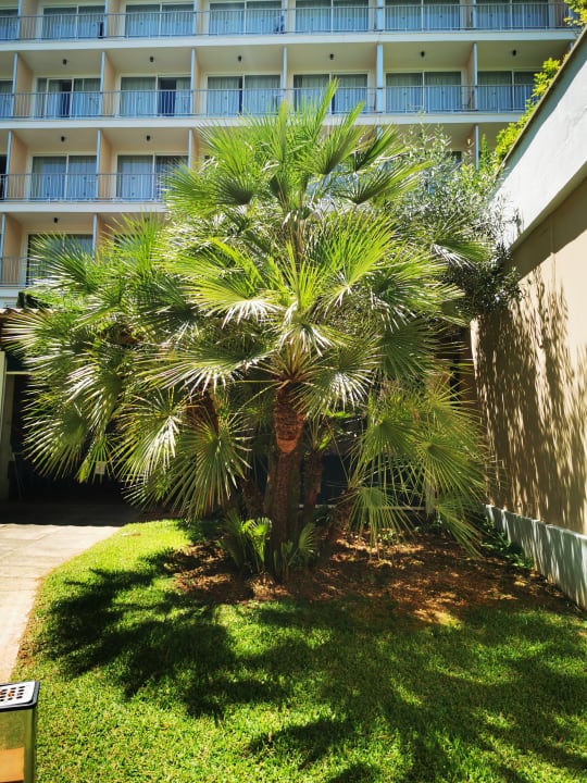 Gartenanlage Valentin Grand Park Suite Hotel