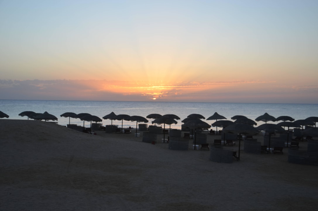 Hotel Gorgonia Beach Hotel Gorgonia Beach Resort
