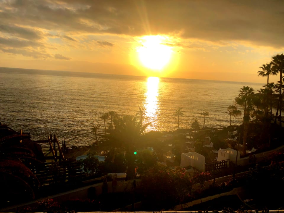 Ausblick Dreams Jardín Tropical