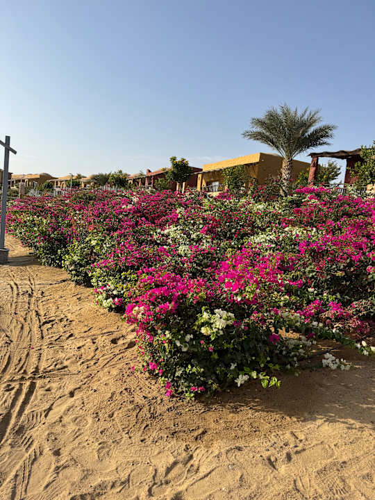 Gartenanlage Pickalbatros Villaggio Resort - Portofino