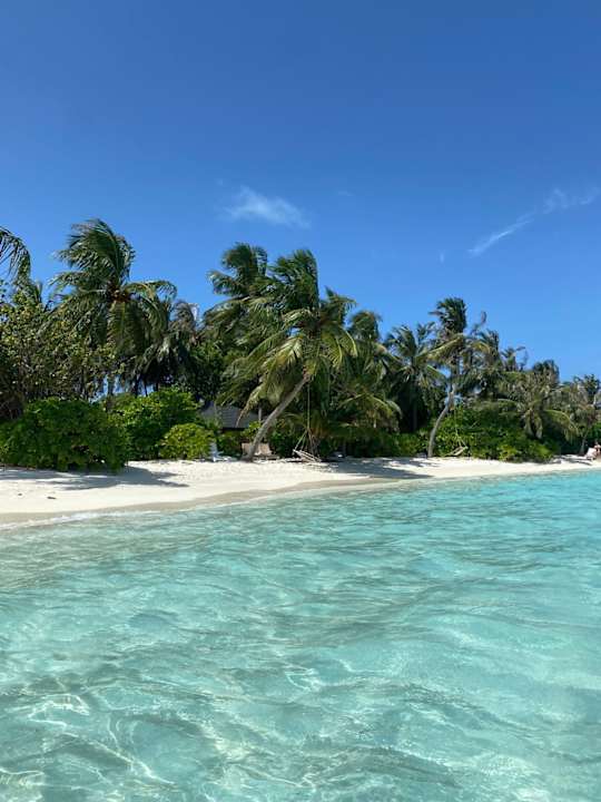 Strand Summer Island Maldives
