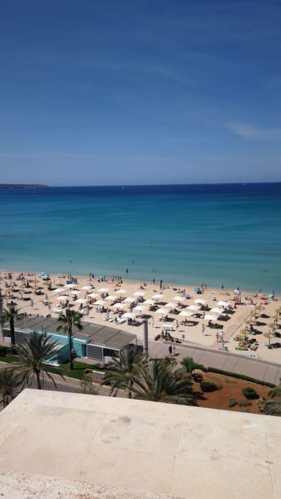 Ausblick HM Tropical