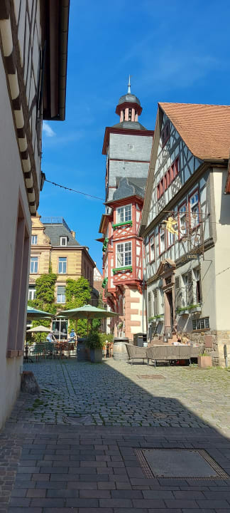 Ausblick ACHAT Hotel Heppenheim