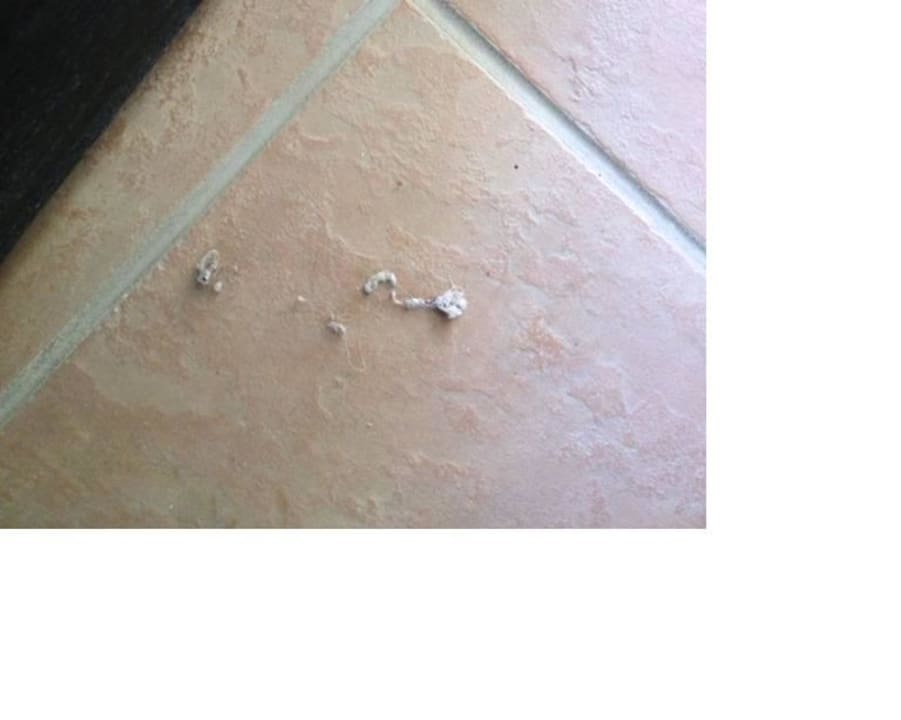 Staubig, flecking und unangenehmer Gerusch Sharm Plaza