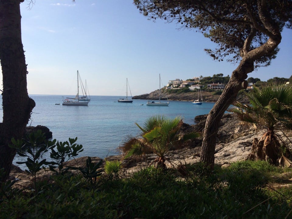 Blick zum Meer Iberostar Waves Pinos Park