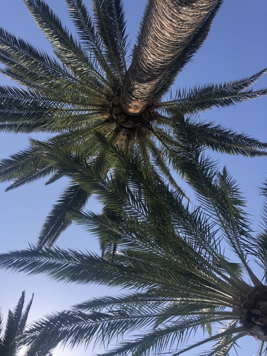 Sonstiges ROBINSON ESQUINZO PLAYA