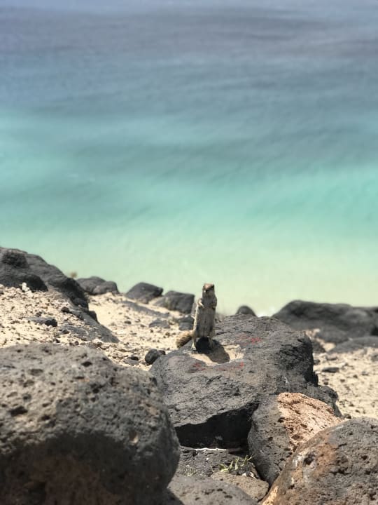 Strand SBH Club Paraiso Playa