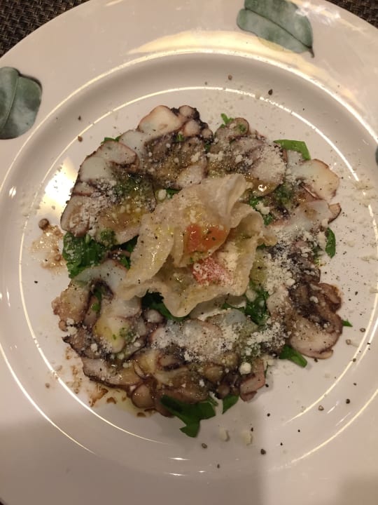 Gastro Acanthus Cennet Barut Collection