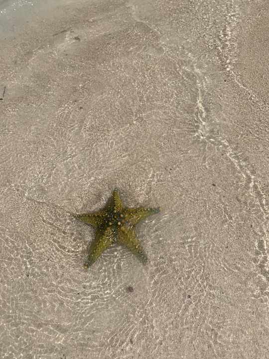 Strand Hotel Riu Palace Zanzibar