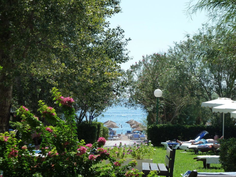 Mit Blick aufs Meer Hotel Calypso Beach