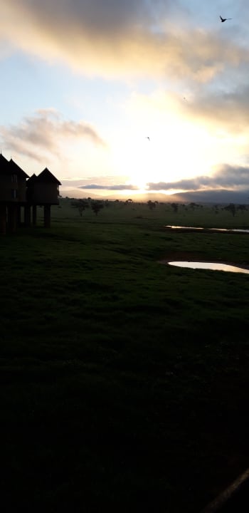 Außenansicht Salt Lick Safari Lodge