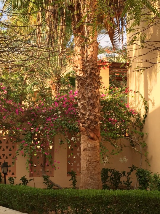 Anlage Steigenberger Coraya Beach - Adults only