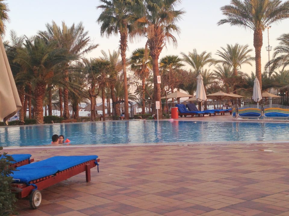 Attraktiv JAZ Fayrouz