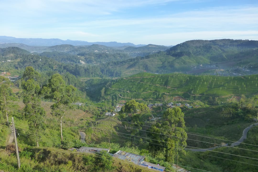 Ausblick Olympus Plaza Hotel