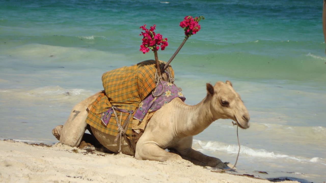 Strand Hotel Southern Palms Beach Resort