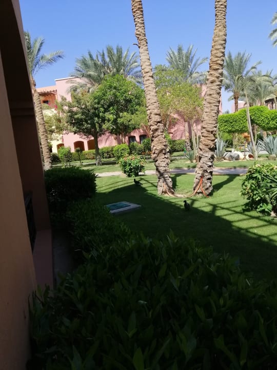 Gartenanlage Jaz Makadi Oasis Resort