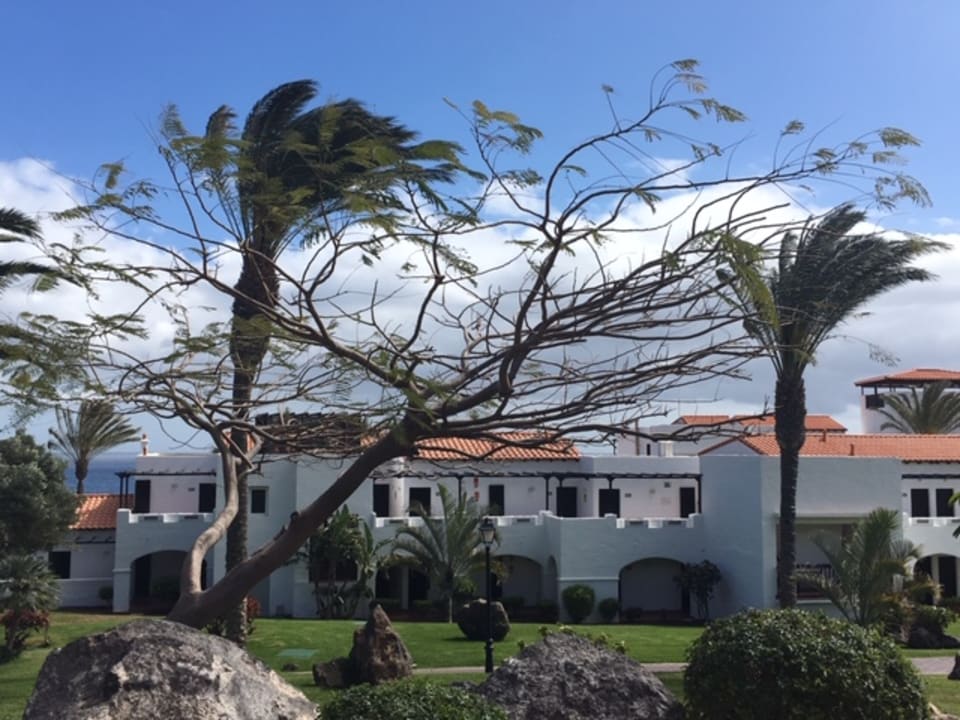 Gartenanlage TUI MAGIC LIFE Fuerteventura