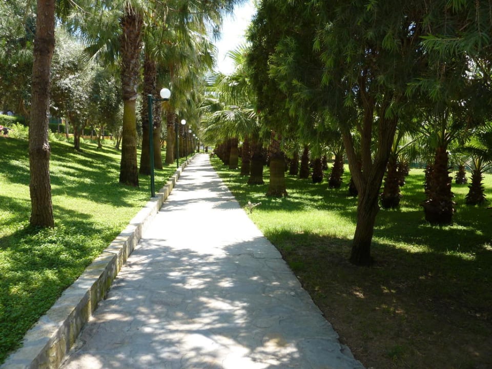 Weg zum Strand durch den Palmengarten Miramare Queen Hotel